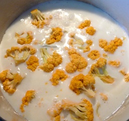 Bechsoup1