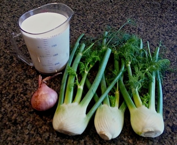 Fennel Soup 2