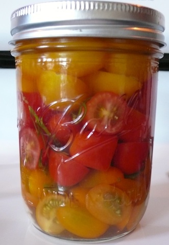 PTomatoes2
