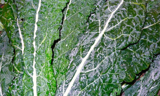 TKale