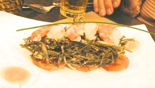 algaeentree2