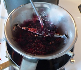 berryjam2