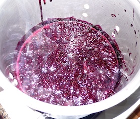 braspboil