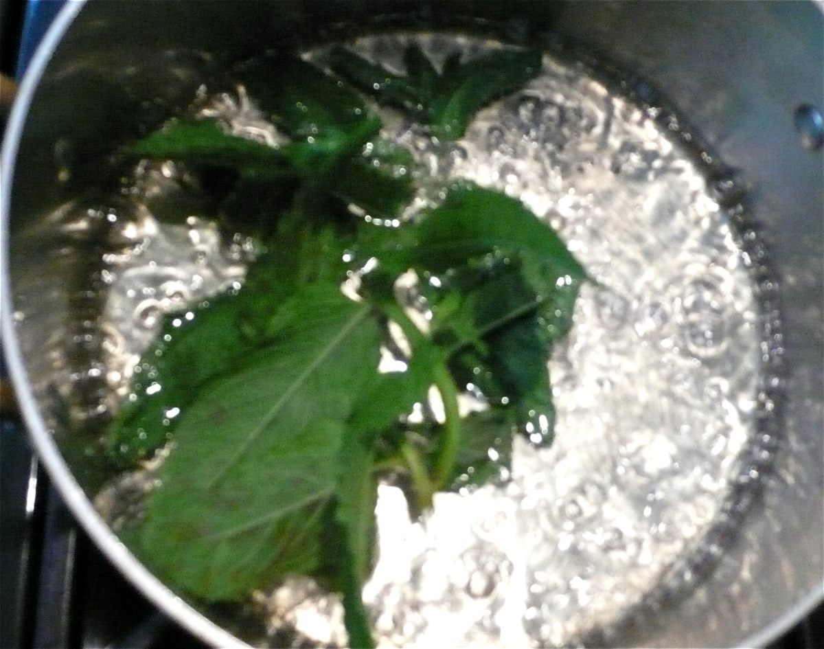 mintsyrup