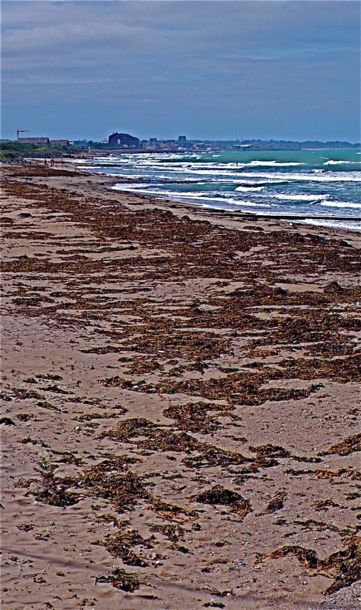 seashore